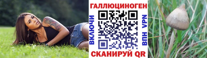 Галлюциногенные грибы мицелий  Купить  Пущино 